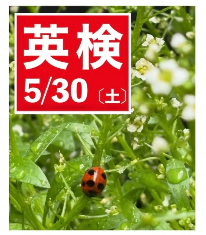 今週末5月30日(土)は英語検定です。