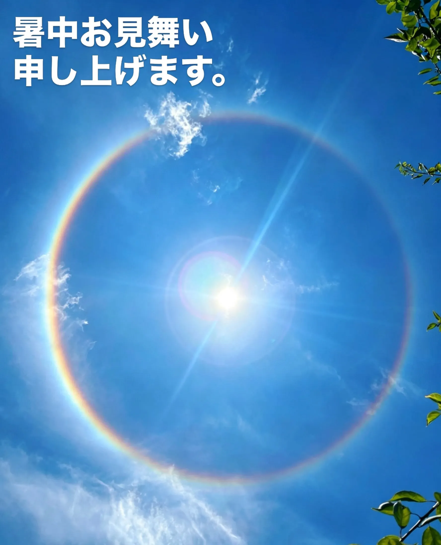 暑中お見舞い申し上げます🍉